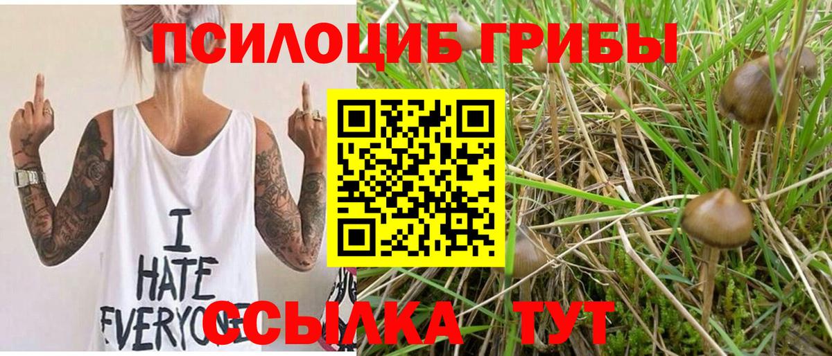 Галлюциногенные грибы Magic Shrooms Ейск
