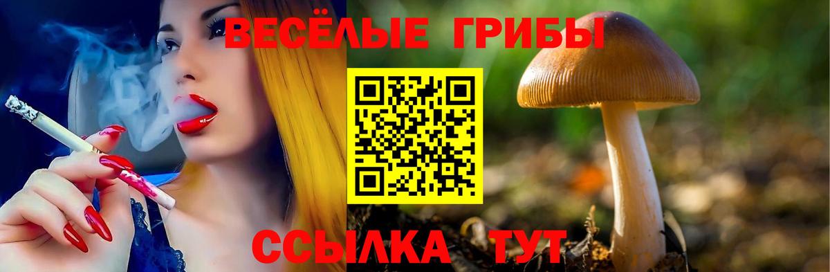 Псилоцибиновые грибы Psilocybine cubensis  Вход с VPN  Ейск  Галлюциногенные грибы ЛСД 